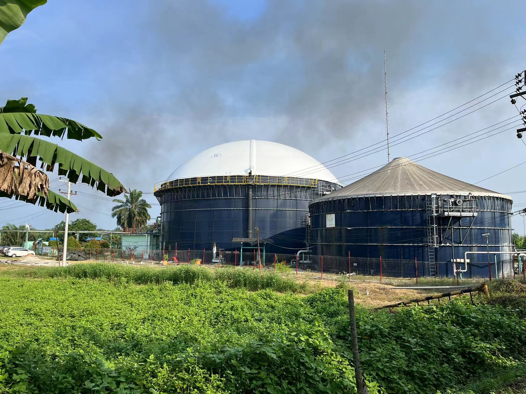 圖片關(guān)鍵詞