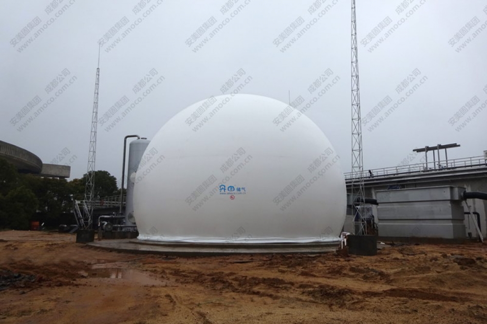 江西啤酒廠雙膜儲(chǔ)氣柜