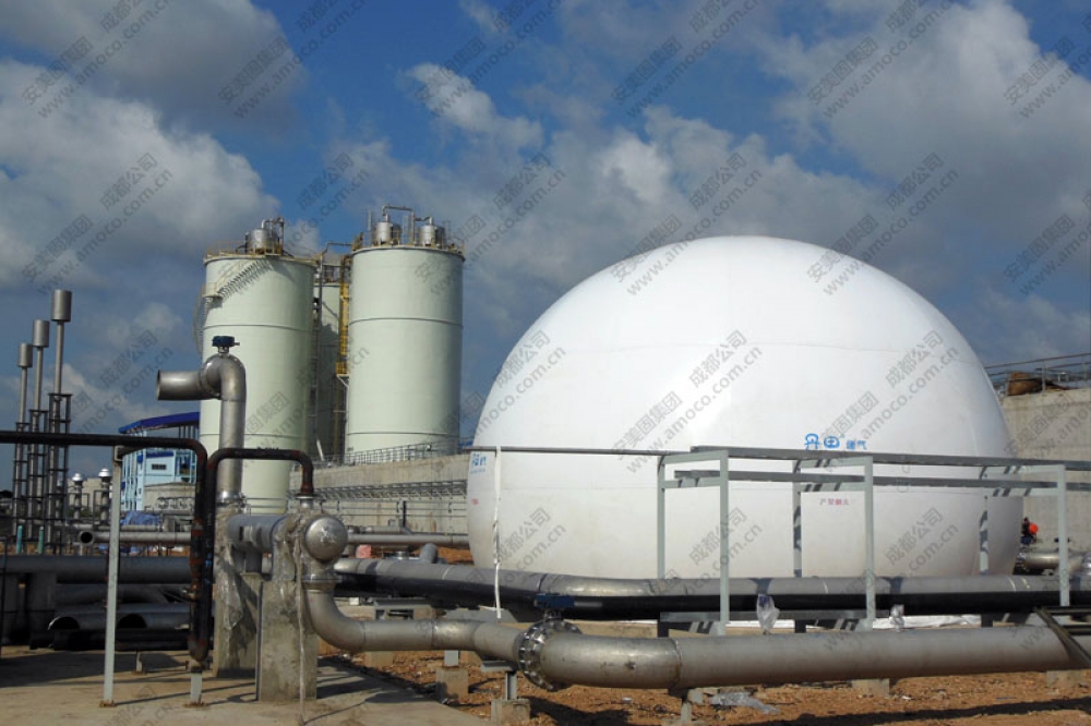 泰國造紙廠雙膜膜氣柜