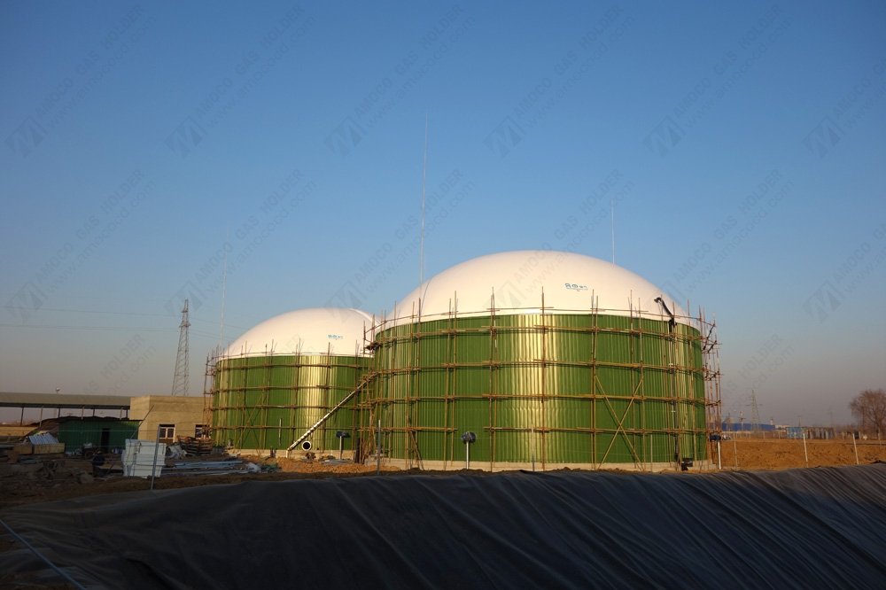 山東 奶牛場沼氣項目