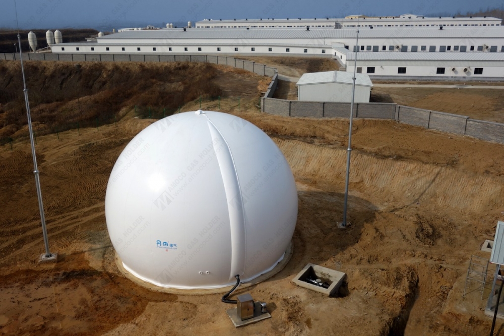 河南省平頂山養(yǎng)豬場(chǎng)膜氣柜